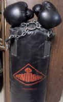 HOME GYM PROFESSIONAL PUNCHING BAG WITH GLOVES