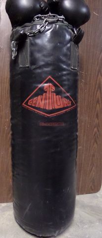 HOME GYM PROFESSIONAL PUNCHING BAG WITH GLOVES
