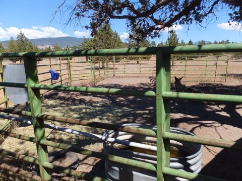 SEVEN POWDER RIVER LIVESTOCK PANELS (12 FOOT) WITH 4 FOOT GATE SECTION
