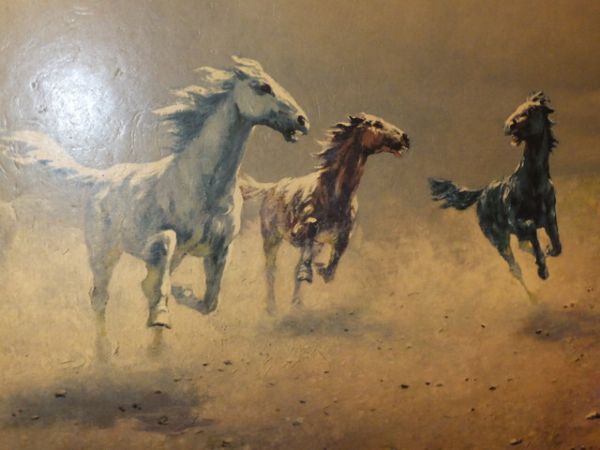 WILD HORSE FRAMED ART BY AUGUST ALSO.