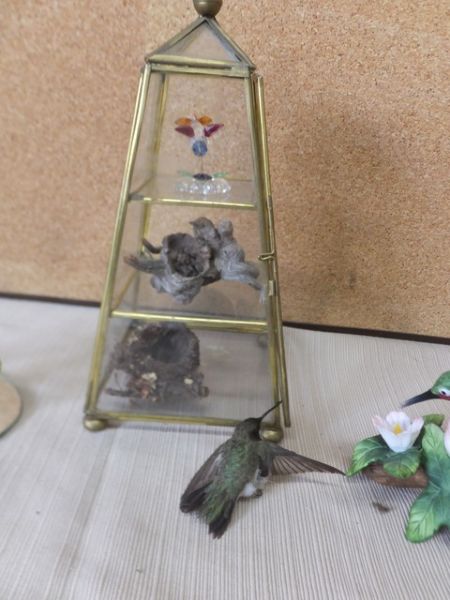 HUMMINGBIRD & VARIETY LOT -VINTAGE SMALL CURIO CASE, BLOWN GLASS & MORE