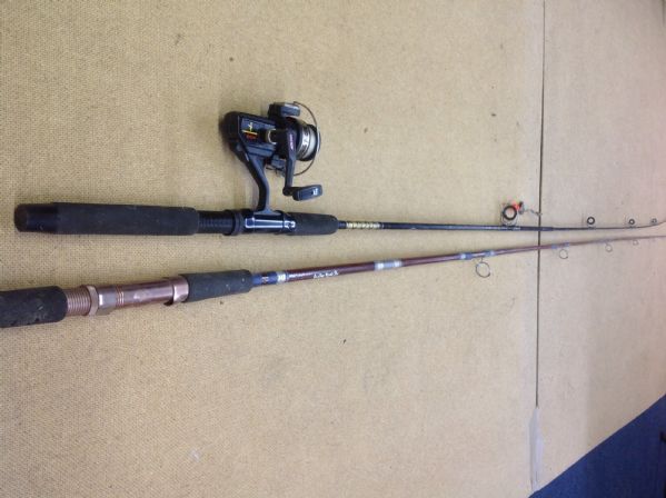 TWO FISHING POLES AND A REEL
