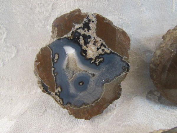 TWO THUNDER EGGS - SLICED AND POLISHED!  TWO FABULOUS AGATE SLICES, GEODE!