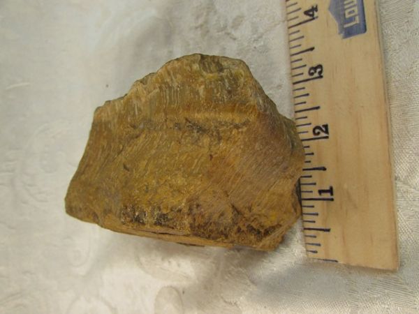 LARGE TIGER-EYE ROUGH STONE.  APPROX, 2.5 LBS