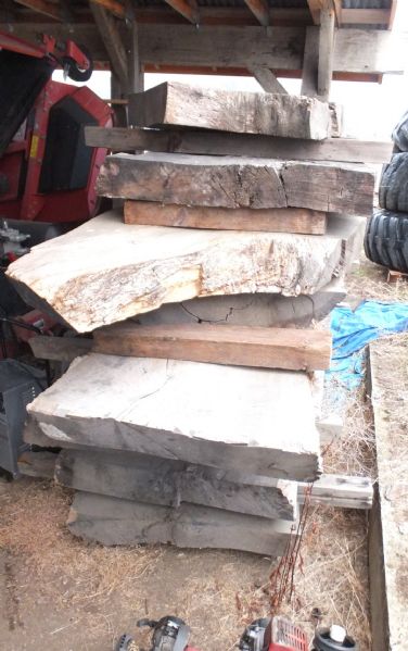EIGHT WHITE OAK SLABS FOR TABLE TOP, BAR TOP, COUNTER OR MORE!  BEAUTIFUL POSSIBILTIES!