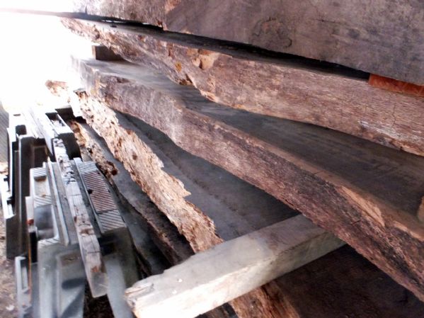 EIGHT WHITE OAK SLABS FOR TABLE TOP, BAR TOP, COUNTER OR MORE!  BEAUTIFUL POSSIBILTIES!