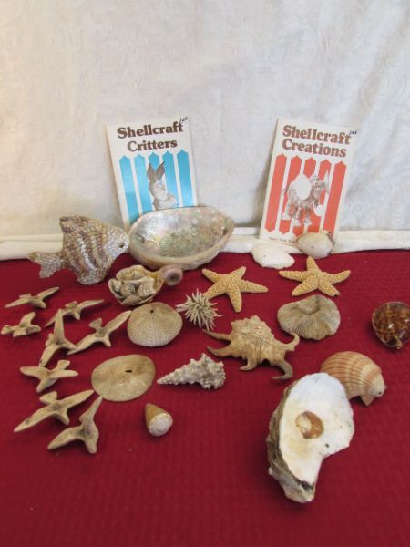 OLD SHELL COLLECTION WITH SHELLCRAFT CREATIONS BOOKLETS