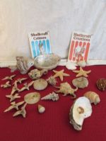OLD SHELL COLLECTION WITH SHELLCRAFT CREATIONS BOOKLETS