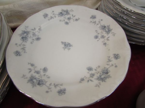 BAVARIA, GERMANY - BEAUTIFUL CHINA SET - DON'T WAIT FOR SPECIAL OCCASIONS USE THEM EVERYDAY!
