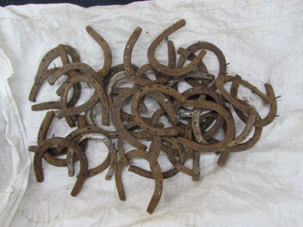 VINTAGE USED HORSE SHOES 