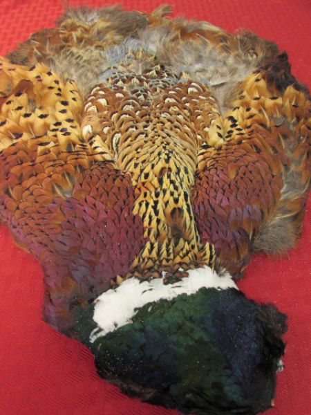 FULL BODY PHEASANT FEATHERS FOR CRAFTS OR FLY TYING