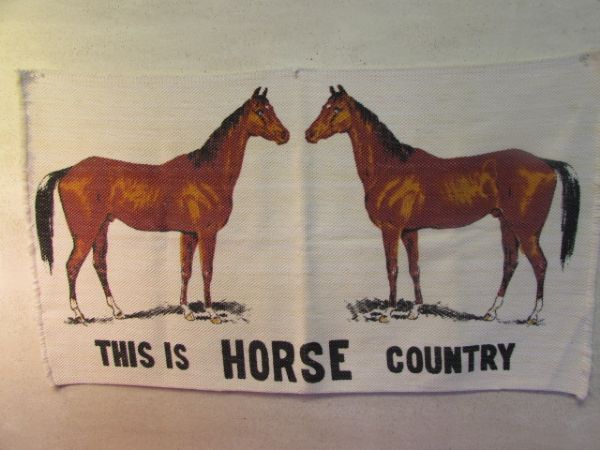 THIS IS HORSE COUNTRY WALL HANGING