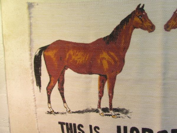 THIS IS HORSE COUNTRY WALL HANGING
