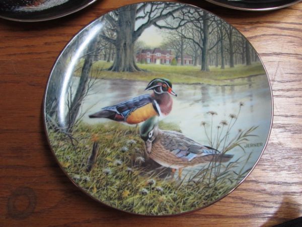 MORE BEAUTIFUL DUCK PLATES
