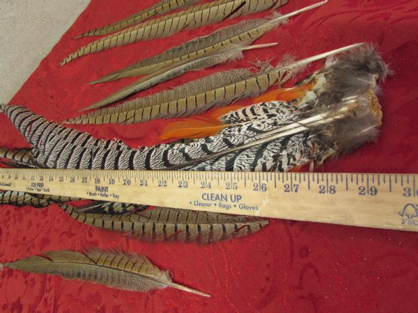 BEAUTIFUL COMMERCIAL PHEASANT TAIL FEATHERS