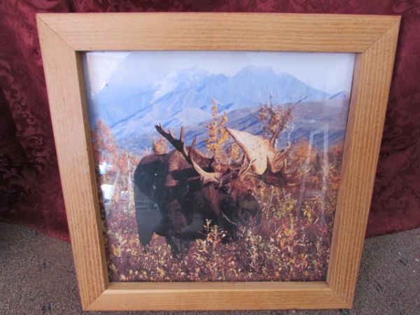THE GREAT OUTDOORS!  FABULOUS WOODWORK & FRAMED WILDLIFE PICTURES