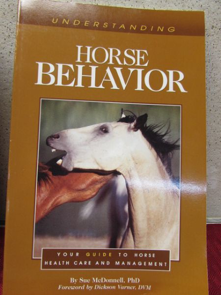 NICE COLLECTION OF HORSE CARE BOOKS & CUTE WOODEN SIGN