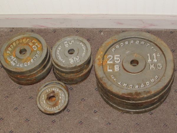 PROSPORT WEIGHTS  176 POUNDS TOTAL