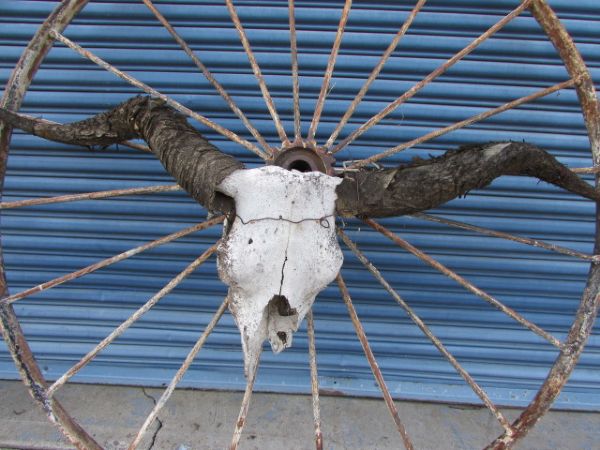 COUNTRY YARD ART!  RUSTIC ANTIQUE WAGON WHEEL WITH BULL SKULL