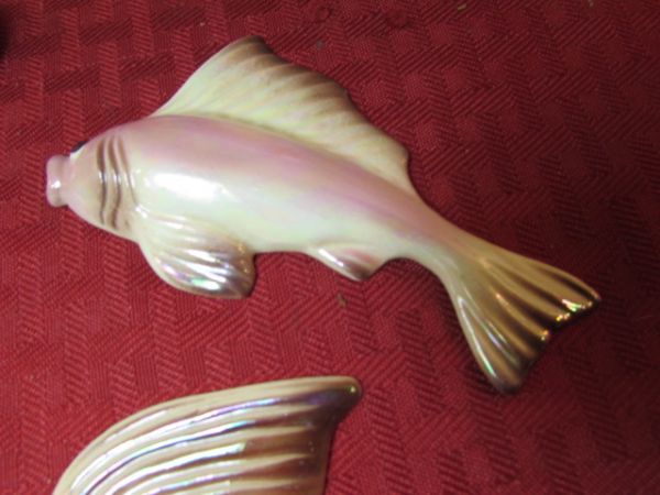 VINTAGE GLOSSY FREEMAN MCFARLAN ORNAMENTAL FISH