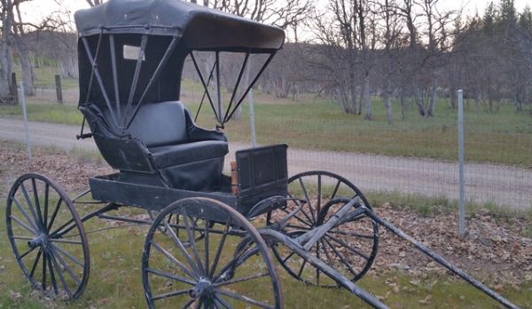 HORSE DRAWN DOCTOR BUGGY  -- OFF SITE LOCATION