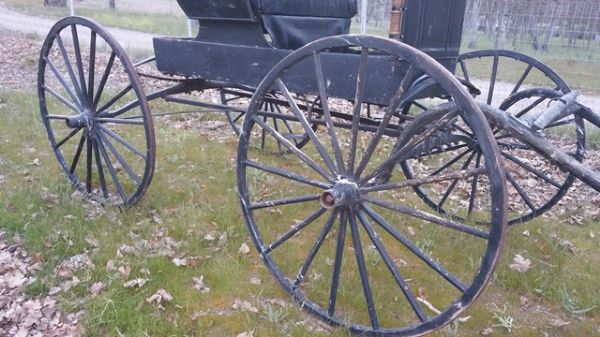 HORSE DRAWN DOCTOR BUGGY  -- OFF SITE LOCATION