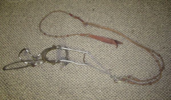 THREE BRIDLES AND A LEAD ROPE