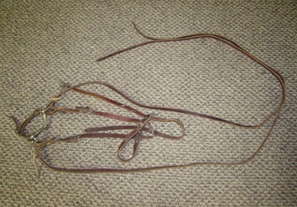 THREE BRIDLES AND A LEAD ROPE