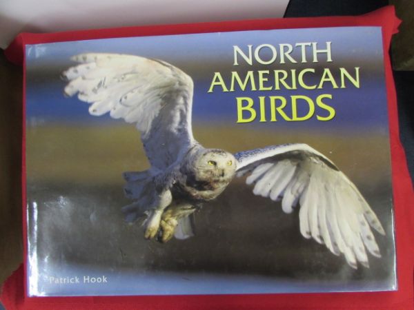 BEAUTIFUL BIRD COFFEE TABLE BOOK, WREATH &  LITTLE CERAMIC BIRDS