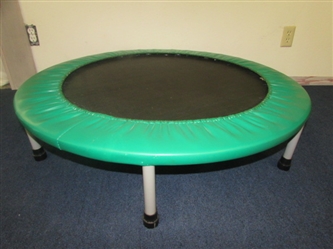 SMALL TRAMPOLINE - COULD MAKE A GREAT DOG BED