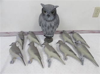 PLASTIC OWL AND PIGEON DECOYS FOR PROTECTING YOUR GARDEN