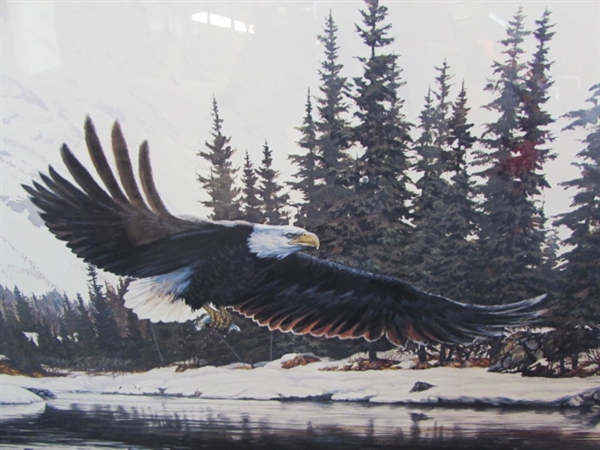 RARE & BEAUTIFUL LIMITED EDITION EAGLE PRINT BY ED TUSSEY