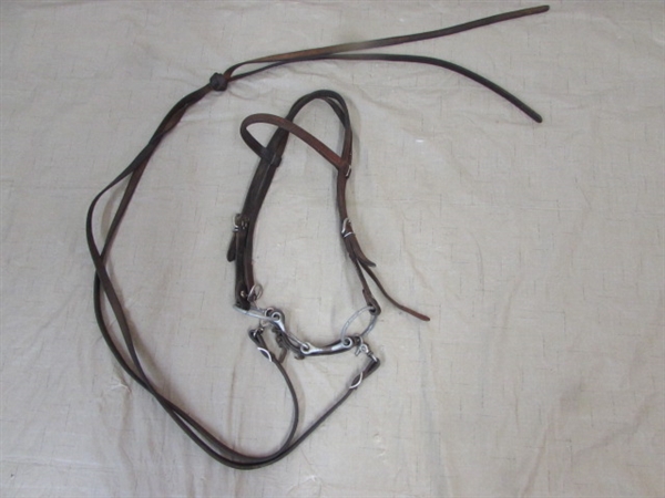 A NICE HORSE OR MULE HEADSTALL WITH A SNAFFEL BIT AND REINS, BREAST COLLAR, CINCH CRUPPER & BOOKS