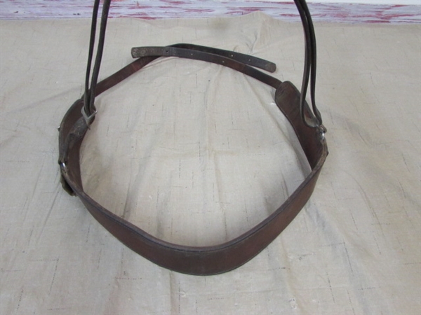 A NICE HORSE OR MULE HEADSTALL WITH A SNAFFEL BIT AND REINS, BREAST COLLAR, CINCH CRUPPER & BOOKS