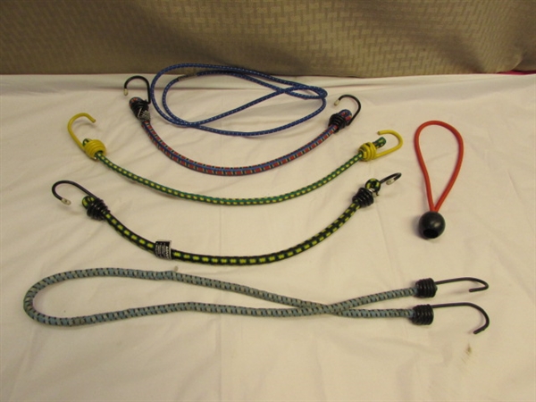 A TON OF BUNGEE CORDS!  LONG, SHORT, HEAVY DUTY & EVERY DAY. . .PLUS BUNGEE CORD NET & LOOP ROPE