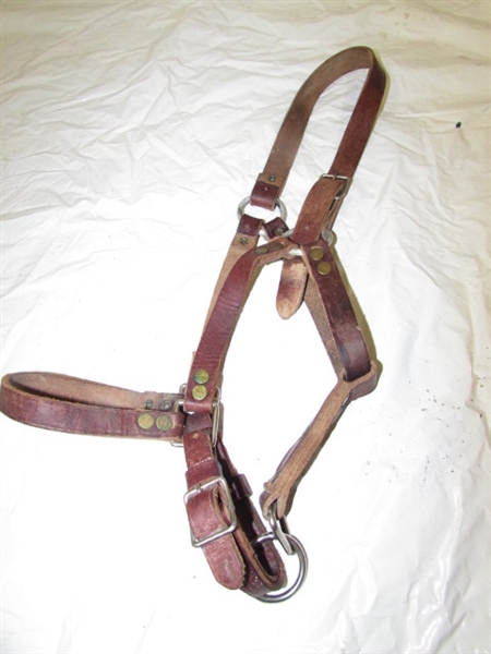 AN AMAZING MIX OF HORSE CARE PRODUCTS, FARRIERS FOOT STAND, TWO RASP, SPUR STRAPS,  & MORE