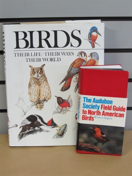 ALL ABOUT BIRDS-VINTAGE AUDUBON SOCIETY FIELD GUIDE TO N. AMERICAN BIRDS & COFFEE TABLE BIRD BOOK