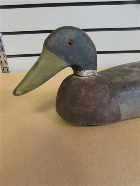 VERY OLD CARVED WOOD DECOY MALLARD DUCK WITH GLASS EYE
