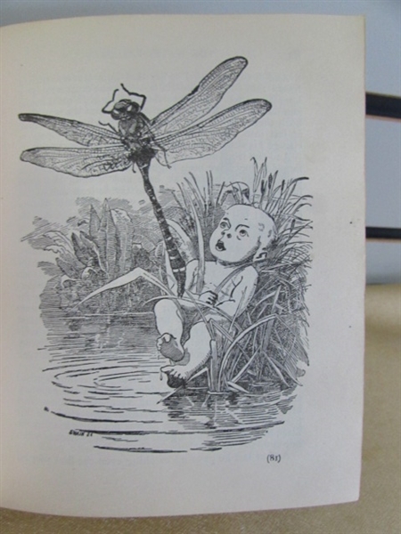 ANTIQUE, 1899 BOOK THE WATER-BABIES BY CHARLES KINGSLEY, A FAIRY TALE NOT TO BE BELIEVED EVEN IF IT IS TRUE!