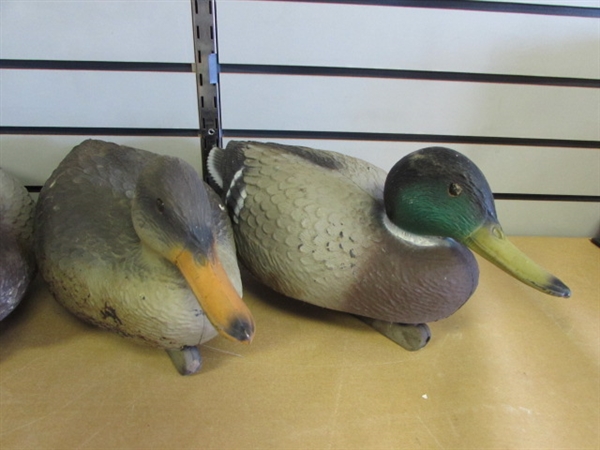 SIX VINTAGE DUCK DECOYS-TAKE 'EM HUNTING OR PUT THEM IN YOUR YARD