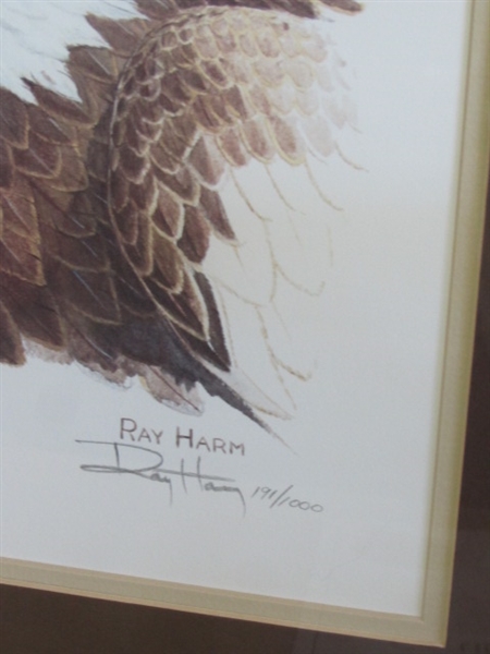 MAJESTIC BALD EAGLE PORTRAIT BY RAY HARMS, SIGNED & NUMBERED WITH COA