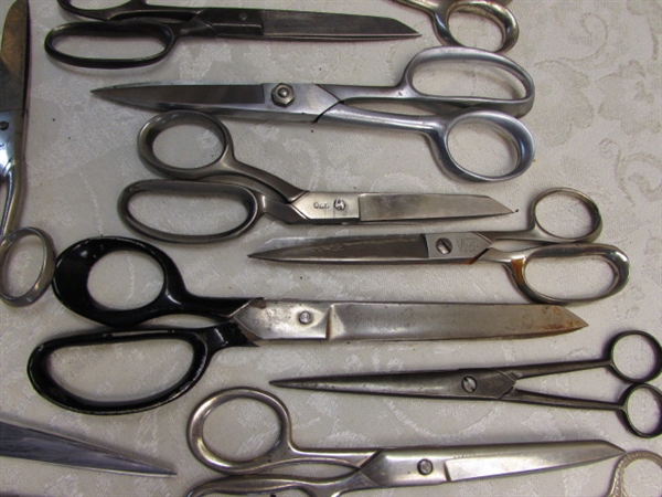 THE CUTTING EDGE: SHEARS FOR EVERY OCCASION