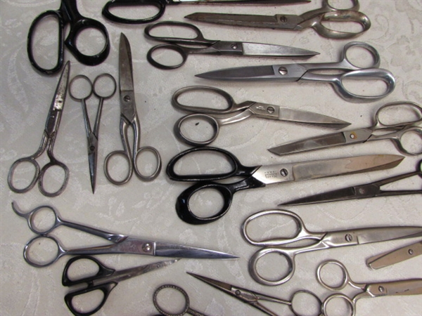 THE CUTTING EDGE: SHEARS FOR EVERY OCCASION
