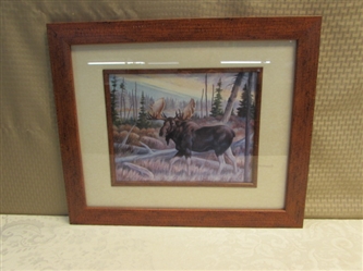 MOOSE PICTURE