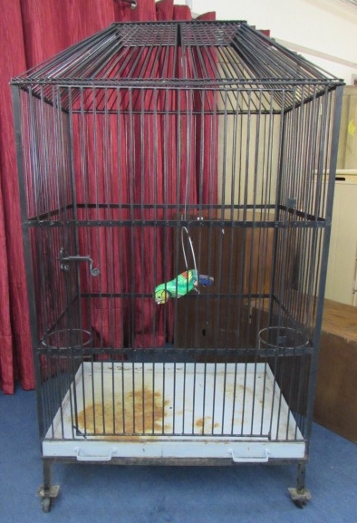 PARROT CAGE