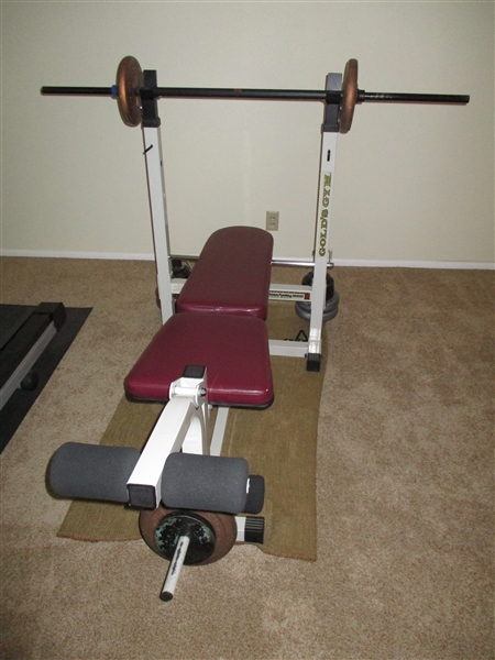 GOLDS GYM WEIGHT BENCH