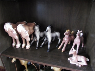 HORSE COLLECTION