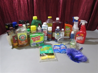 CLEANERS/POLISHERS & INSECTICIDES
