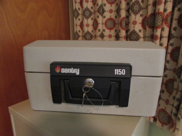 SMALL SENTRY FIRE SAFE