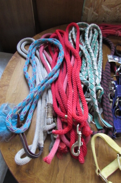 LARGE LOT OF NYLON HALTERS, LEAD ROPES *STABLE HANDS*